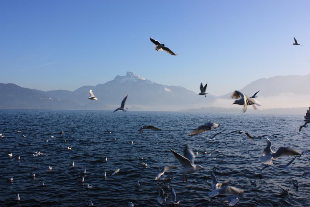Pension Klimesch Mondsee Dış mekan fotoğraf